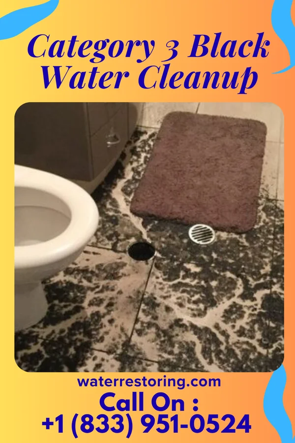 Category 3 Black Water Cleanup in Green Hills, PA