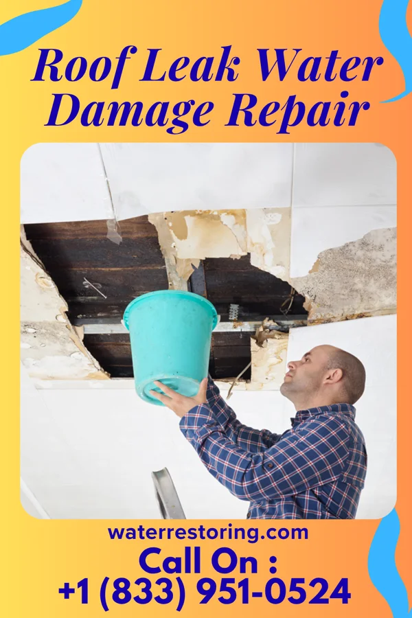 Roof Leak Water Damage Repair in Green Hills, PA